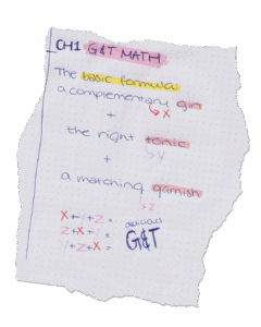 perfect Gin and tonic formula