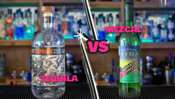 Tequila vs Mezcal for a Margarita Cocktail